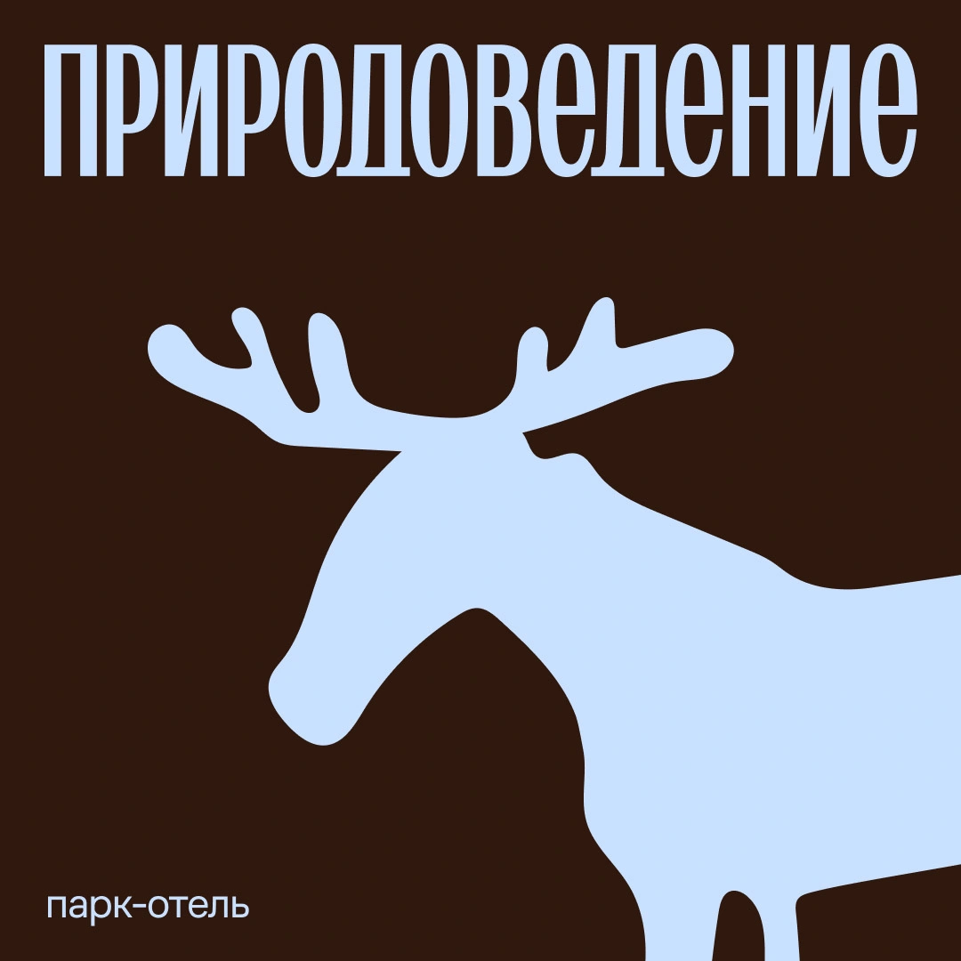 Природоведение: любопытство как основа бренда